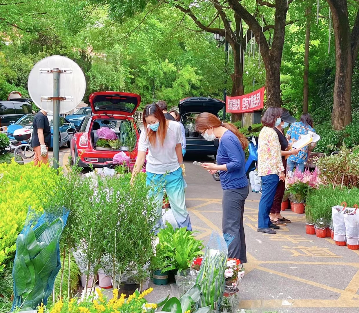 让鲜花传递对未来生活的憧憬 写在上海解封的前夕 清华校友网