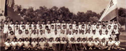 537.jpg
